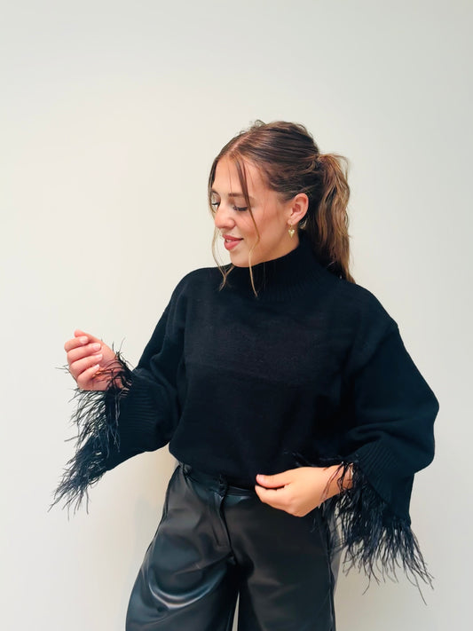 APPOLINE Trui Zwart